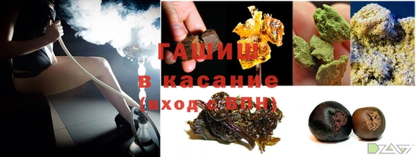 прущие грибы Вязьма